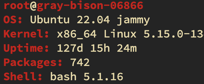 XP-Host.de